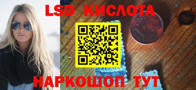 гашик Камышлов