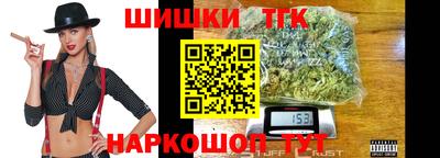 гашик Камышлов