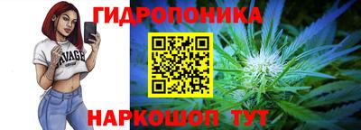 тгк Канаш