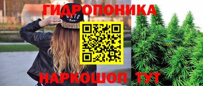 тгк Канаш
