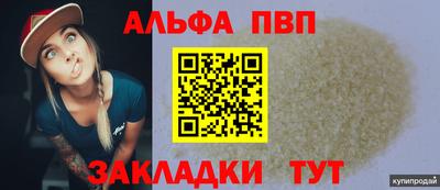 гашик Камышлов