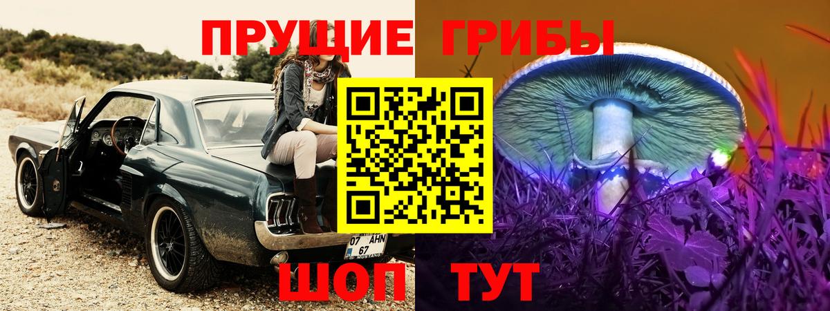 Краснотурьинск  Псилоцибиновые грибы мухоморы  где купить наркотик  Вход с VPN  Галлюциногенные грибы Psilocybine cubensis 