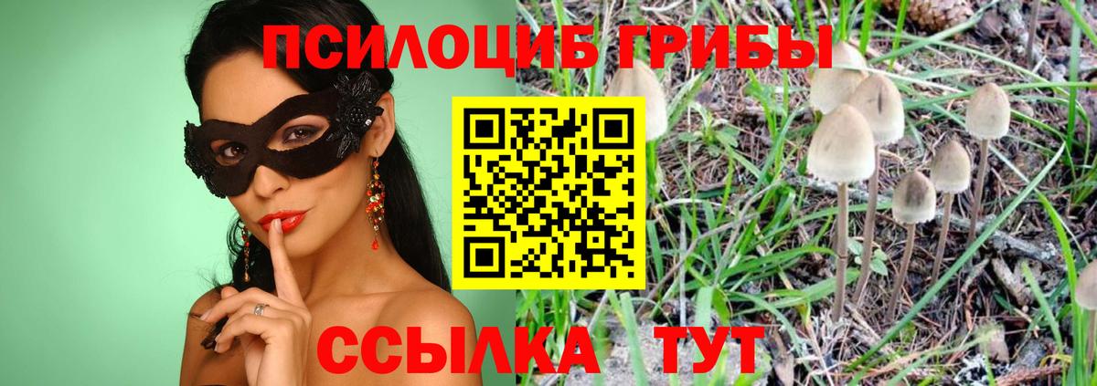 Галлюциногенные грибы мицелий Краснотурьинск